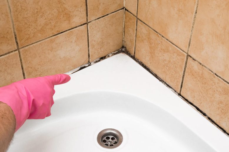 preventing mould bathroom products